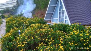 Tuyết Hoa Hòn Bồ Homestay - Dalat - 2