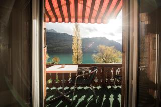 Alpenblume - Brienz - 5