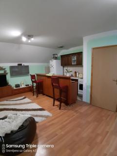 Apartman Sara Pale - Ski centar Ravna planina - Pale - 5