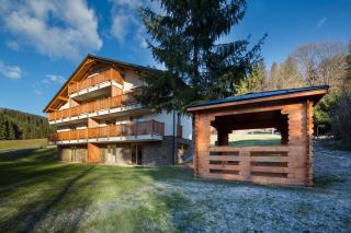 Apartmán SOSNA - 8