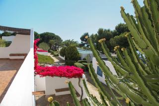 Residence Girasole - Capo Vaticano - 9