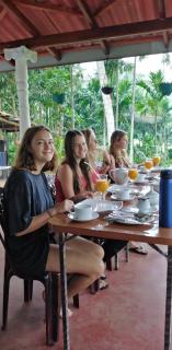 Rainforest Holiday Inn - 0