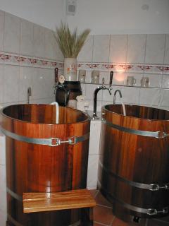 Hotel Hof und Post - Innertkirchen - 2
