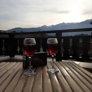 Relax Dobrinishte - Dobrinishte - 0