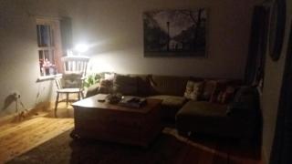 Ash Cottage - Ardagh - 4