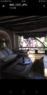 Wildebeeste Lamu - Lamu - 8
