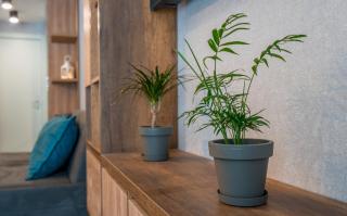 Apartment ALPINE by Atrium, New Gudauri - 2