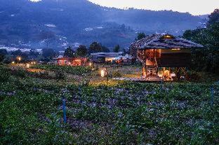 Mori Natural Farm - 5