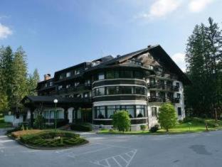 Ribno Alpine Hotel - 9
