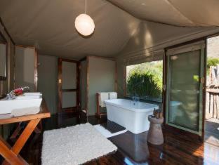 HillsNek Safari Camp – Amakhala Game Reserve - Amakhala Game Reserve - 9