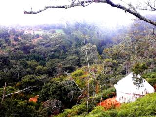La Pacha Hostel - Barichara - 3