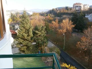 Park Apartments & Rooms Popovi - Sandanski - 9