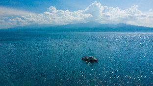 Emoha Dive Resort - Oslob - 2