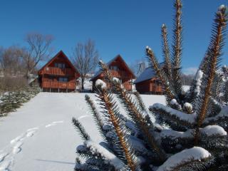 Całoroczne Domki "Stokrotka" - Solina - 9