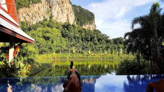 Saifon Villas 3 Bedroom Pool Villa - Ao Nang Beach - 3