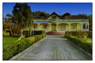 Villa Costiera Salerno - Salerno - 8
