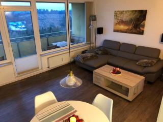Pano Hohegeiß App 363 mit Wlan - Braunlage - 9