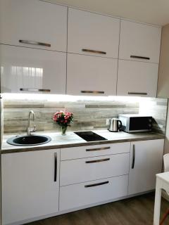 InDream New Cosy Modern Studio - Klaipėda - 4