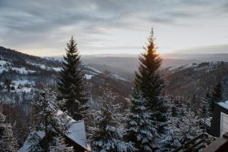 Kostovac Boutique Homes - Loft - Kopaonik - 3