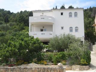 Apartments Rosa - Preko - 4