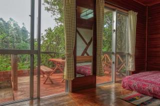 435 - Isola di Ishigaki - 5