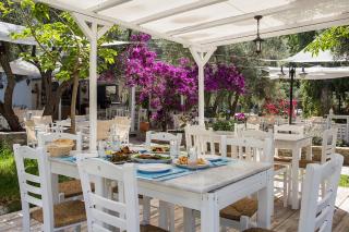 Limnonari Garden room - Skopelos - 5