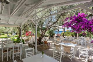 Limnonari Garden room - Skopelos - 2