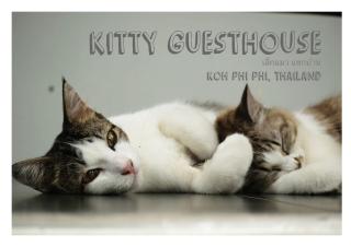 Kitty Guesthouse - Phi Phi Don - 4