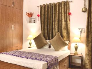 The Buddhayan Abode - Jaipur - 8