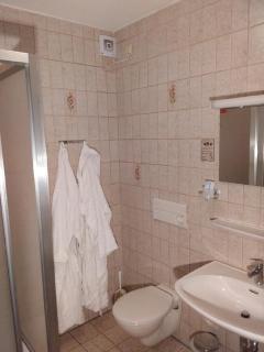 Gasthof Alte Post - Bischofsmais - 3
