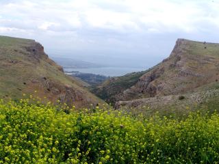 Arbel Holiday Homes - Arbel - 0