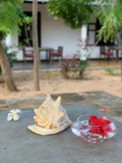 The Danish Villa Resort - Arugam Bay - 1