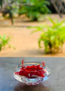 The Danish Villa Resort - Arugam Bay - 4