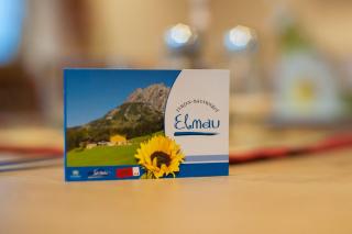 Ferienbauernhof Elmaugut - Mühlbach am Hochkönig - 4