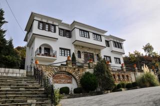 Hotel Petrino - Makrinitsa - 0