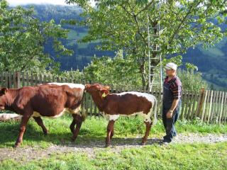 Bergbauernhof Untermoos - 3