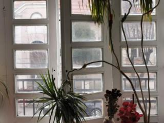 French Balkony Apartment - 1