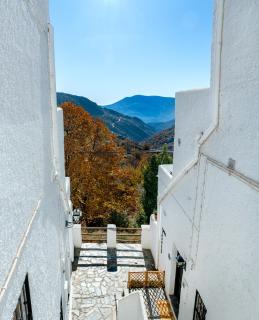 Casa Consuelo - Capileira - 5