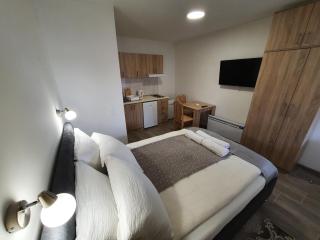 S&M Apartmani - Soko Banja - 0
