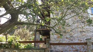 La Casina de Abo - 2