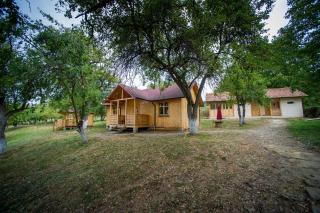 Jugendzentrum Seligstadt - 0