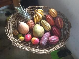 Orgânica-Mente B&B - 8