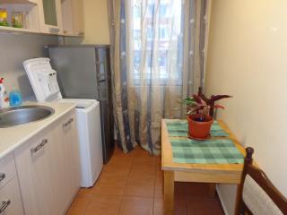 Apartment Moni 2 - Veliko Tŭrnovo - 3