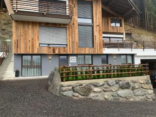 Apart Wexwood - Hart im Zillertal - 6