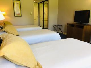San Miguel Plaza Hotel All Inclusive - Villa San Miguel - 1