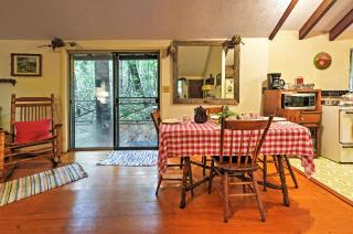 Serene Creekside Cottage Near Mount Pisgah! - Candler - 3