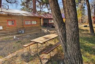 Autumnsong Fireside Cabin Near Dtwn Buena Vista! - Buena Vista - 8