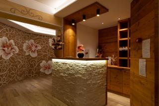 Hotel Melchiori - Andalo - 2