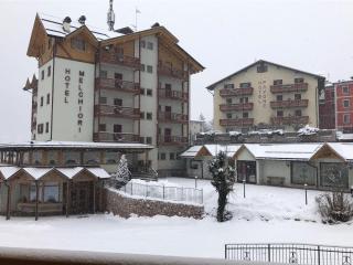 Hotel Melchiori - Andalo - 9