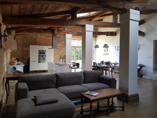 Villa Renaissance - Flaujagues - 3
